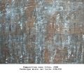 dussoge-peintre - MURS II