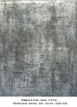 dussoge-peintre - MURS II